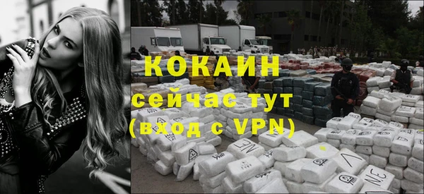 spice Аркадак