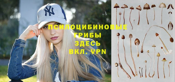 хмурый Баксан