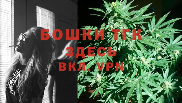 шишки Балахна