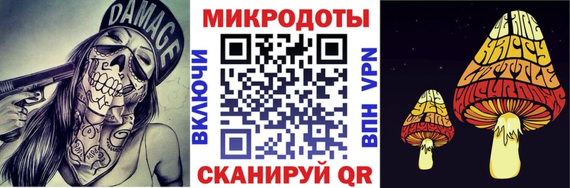 Псилоцибиновые грибы прущие грибы  Сокол 